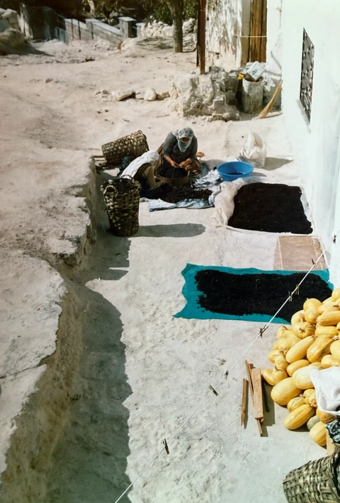 A woman outdoors in an old photograph